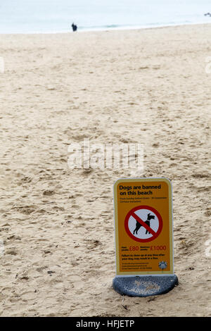 Une enseigne ou interdit les chiens interdits sur la plage de Porthminster au printemps à St Ives Cornwall South West England UK GO Banque D'Images