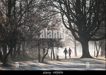 Promenade de chiens sur un froid glacial, frosty, Misty day Banque D'Images