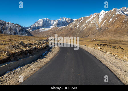 Scenic Route de montagne Himalaya chopta vallée entourée de montagnes enneigées et stérile de pâturage le pâturage pour yack sauvage. Banque D'Images