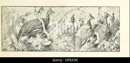 Ce récit de voyage, traduit de l'allemand par A. H. Keane, relate les expéditions de l'auteur en Afrique entre 1875 et 1886, avec des illustrations détaillées documentant les rencontres et les paysages. Banque D'Images