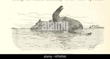 L'image est tirée de la page 42 de 'mon deuxième voyage à travers l'Afrique équatoriale', un récit de voyage documentant le deuxième voyage de l'auteur à travers l'Afrique équatoriale en 1886 et 1887. Le livre comprend des cartes et des illustrations qui mettent en valeur la géographie et les cultures rencontrées au cours du voyage. Banque D'Images