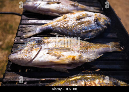 Poisson frais de la mer dorade sur grill voir Banque D'Images