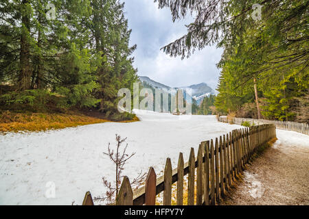 Chemin de terre traversant la forêt enneigée en hiver Alpin Banque D'Images