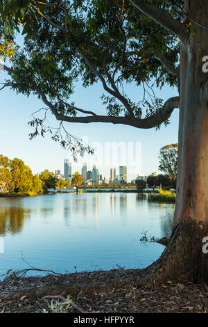 Vue sur St James Mitchell Park et le fleuve Swan à l'horizon de la ville à l'aube, Perth, Western Australia, Australia Banque D'Images