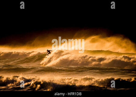 Un surfeur conduit une vague sauvage lors d'un coucher du soleil doré à la plage de Fistral, Newquay en Cornouailles. Surfer en action. UK. Banque D'Images