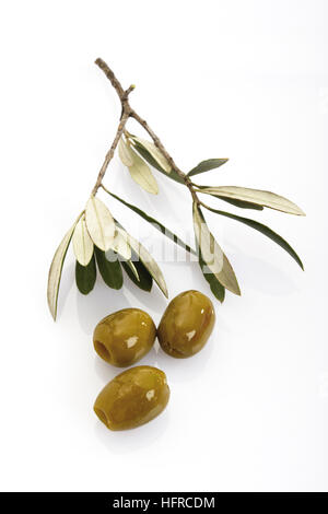 Olives et une branche d'olivier (Olea europaea) Banque D'Images