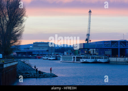 Wien, Vienne : port de Vienne, les bateaux de croisière ancrés dans l'hiver hors saison, Wien, Autriche Banque D'Images