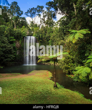 Millaa Millaa Falls. Queensland, Australie Banque D'Images