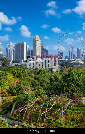 Gardens by the bay , Singapour Banque D'Images