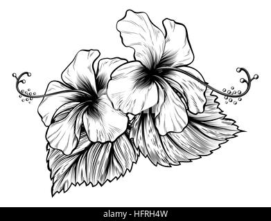 L'Hibiscus dans un style vintage gravure sur bois Gravure gravée Banque D'Images