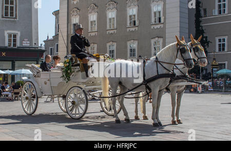 Mariage Blanc à cheval Banque D'Images