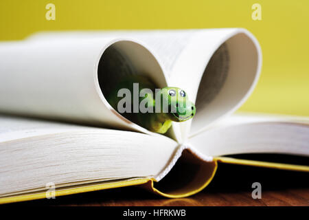 Livre ouvert, bookworm, à en forme de pages pour former un coeur Banque D'Images