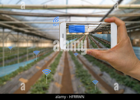 App sur smart smart device montrant l'agriculture l'agriculture à l'aide de concept internet of things, IOT, et réalité augmentée, AR. Banque D'Images