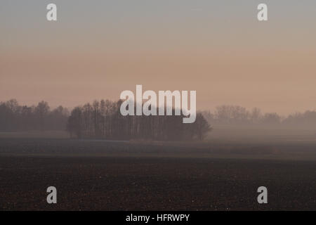 Champs et arbres dans la brume au coucher du soleil d'hiver Basse Silésie Pologne Banque D'Images