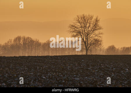 Coucher du soleil d'hiver au pied des montagnes Owl Basse Silésie Pologne Eulengebirge Banque D'Images