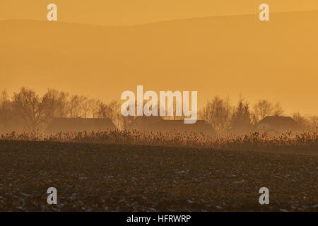 Coucher du soleil d'hiver au pied des montagnes Owl Basse Silésie Pologne Eulengebirge Banque D'Images