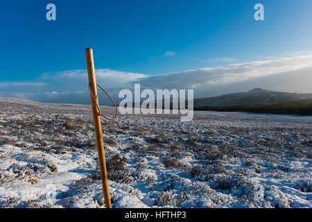 Vue sur Cioch Mhor (le PAP) du bas des pentes de Ben Wyvis Banque D'Images