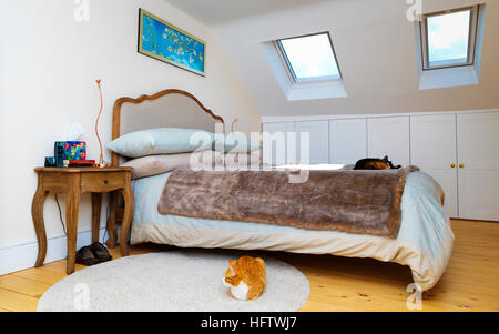 Editorial photo d'une chambre en mezzanine. Il y a deux chats dans l'image et c'est une journée ensoleillée bleu clair qui peut être vu à travers les puits de lumière Banque D'Images