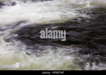 Une petite feuille d'automne le long flottant dans une rivière. Banque D'Images