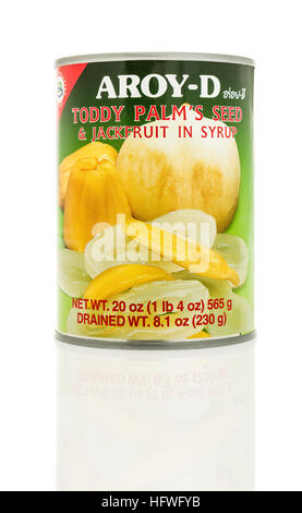 Winneconne, WI - 2 novembre 2016 : Pouvez d'Aroy-D'palm toddy seed & jaque au sirop sur un fond isolé. Banque D'Images