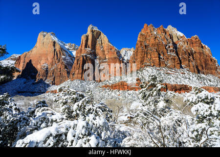 La Cour des patriarches avec une couche de neige fraîche dans la région de Zion Canyon, Zion National Park Utah USA Banque D'Images