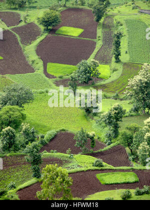 Vue de dessus de terres agricoles avec des champs et arbres Banque D'Images