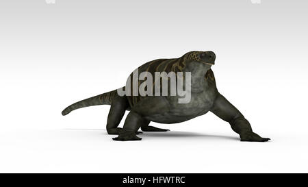 3d illustration de la cotylorhynchus isolated on white Banque D'Images