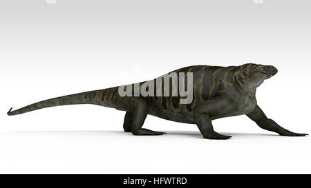 3d illustration de la cotylorhynchus isolated on white Banque D'Images