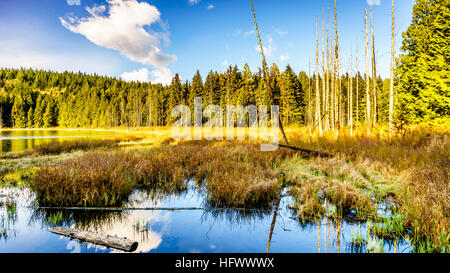 Mike Lake célèbre dans le parc provincial Golden Ears dans beautiful British Columbia Canada sous un ciel bleu Banque D'Images