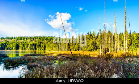 Mike Lake célèbre dans le parc provincial Golden Ears dans beautiful British Columbia Canada sous un ciel bleu Banque D'Images