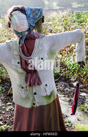 Scarecrow in vegetable garden Banque D'Images