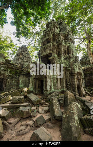 Trésors de l'ancienne Angkor dans les ruines du temple Ta Prohm Banque D'Images