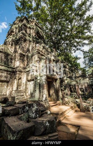 Trésors de l'ancienne Angkor dans les ruines du temple Ta Prohm Banque D'Images