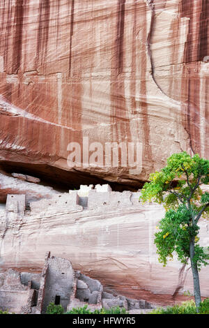 Bandes de vernis du désert au-dessus de l'Anasazi Cliff dwellings connu sous le nom de Maison Blanche ruines dans l'Arizona's Canyon de Chelly National Monument. Banque D'Images