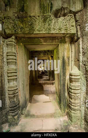 Trésors de l'ancienne Angkor dans les ruines du temple Ta Prohm Banque D'Images