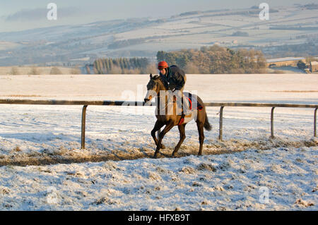 Guy jockey disney 'équitation' de pugilat sur un matin tôt winter ride dans les Cotswolds à Kim bailey course d'équitation. Banque D'Images