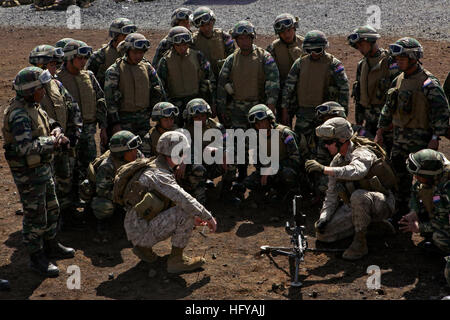 100719-M-7045P-001 POHAKULOA DOMAINE DE FORMATION, Hawaii (19 juillet 2010) Les Marines américains affectés à l'entreprise de Golf, 2e Bataillon, 3e Régiment de Marines, fait la démonstration des procédures d'exploitation du M-240B mitrailleuse à soldats malaisiens affecté à l'armée malaise 9e Régiment royale malaisienne. Les marines participent à bord du Pacific 2010, un événement biennal qui permet aux pays participants de travailler ensemble pour bâtir la confiance et améliorer les partenariats nécessaires à l'amélioration de la sécurité maritime. (U.S. Le Corps des Marines. Orlando Perez/libérés) US Navy 100719-M-7045P-001 US Marines attribuer Banque D'Images