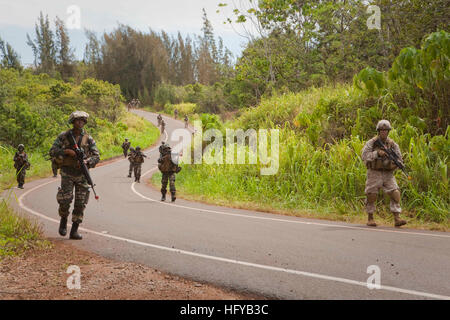 100727-M-2339G-680 KAHUKU, Hawaii (27 juillet 2010) Marine Corps 1er Sgt. Darrell Carver, droite, affecté au 2e Bataillon, 3e Régiment de Marines, des patrouilles avec les parachutistes de Malaisie affecté à 9e Régiment Royal de l'armée malaisienne, malais, vers le prochain objectif au cours d'un raid d'hélicoptère sur un engin explosif improvisé à l'usine de Kahuku, Hawaii. Le raid a fait partie d'un l'exercice RIMPAC 2010 évacuation noncombattant exercice d'entraînement. (U.S. Marine Corps photo par Lance Cpl. Reece E. Lodder/libérés) US Navy 100727-M-2339G-680 Marine Corps 1er Sgt. Darrell Carver Banque D'Images