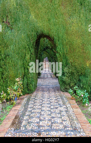 Jardin de l'Alhambra, Grenade, Andalousie, espagne Banque D'Images