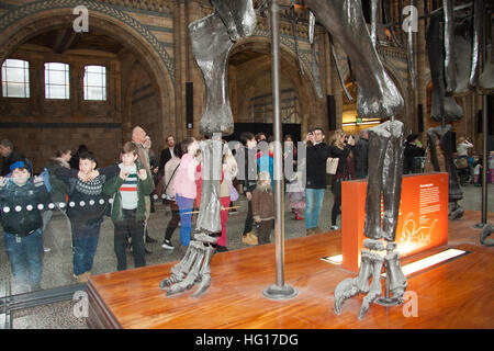 Londres, Royaume-Uni. 4 janvier, 2017. Les grandes foules au Musée d'Histoire Naturelle voir dinosaure Diplodocus Fofolle le dernier jour avant le squelette de dinosaure est pris en bas et part en tournée autour de la Grande-Bretagne © amer ghazzal/Alamy Live News Banque D'Images