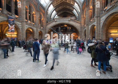 Londres, Royaume-Uni. 4 janvier, 2017. Les grandes foules au Musée d'Histoire Naturelle voir dinosaure Diplodocus Fofolle le dernier jour avant le squelette de dinosaure est pris en bas et part en tournée autour de la Grande-Bretagne © amer ghazzal/Alamy Live News Banque D'Images