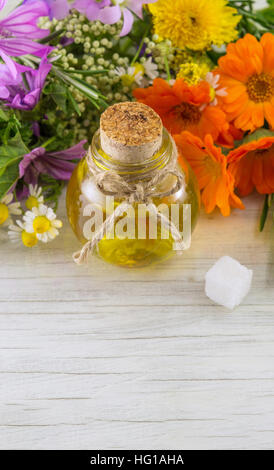 Diverses fleurs et d'huile essentielle dans une bouteille Banque D'Images