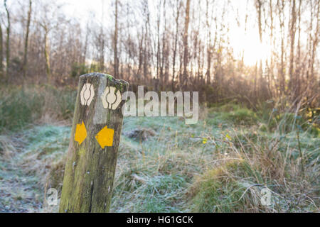 West Highland Way sign en hiver sur l'approche de Conic Hill, Balmaha, Ecosse, Royaume-Uni Banque D'Images