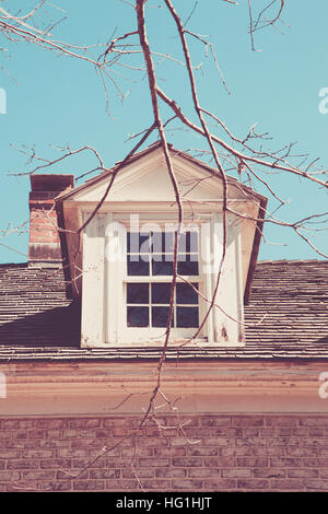 Une vieille fenêtre est visible à travers les branches d'arbres dénudés. Banque D'Images