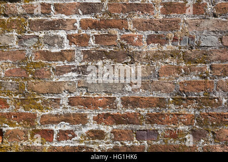 Détails de l'ancienne maçonnerie surmonté, dans un mur de briques. Image puisse travailler comme fond d'écran. Banque D'Images