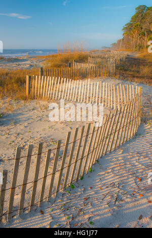 Dunes côtières, herbes et clôture de dunes, Hunting Island State Park, océan Atlantique, Caroline du Sud, États-Unis, par Bill Lea/Dembinsky photo Assoc Banque D'Images