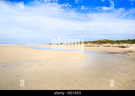 Plage et côte au Monkey Mia. La baie Shark, Australie occidentale Banque D'Images