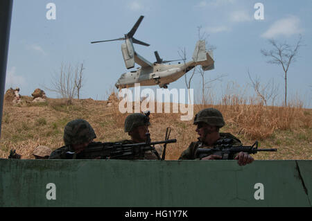 République de Corée Marines Marines des États-Unis à côté du train avec 2e Bataillon, 3e, 4e Régiment de Marines Marines à couvrir le feu lors d'une agression au cours de la formation verticale Ssang Yong 14 bataillon de chars de l'armée à l'ancien site de formation, Pohang, Corée du Sud, le 2 avril 2014. Exercice Ssang Yong 14 est menée chaque année dans la République de Corée (ROK) pour améliorer l'interopérabilité entre les forces des États-Unis et de Corée par l'exécution d'une gamme complète d'opérations amphibies tout en sublimant la projection de puissance dans le Pacifique. (U.S. Photo par marine Spécialiste de la communication de masse 3 classe J. Michael Schwartz/relâché), États-Unis Banque D'Images