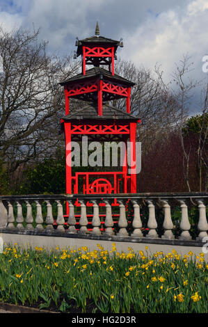 Une pagode de style japonais rouge avec Narcissus (St Patrick's Day) à RHS Garden Harlow Carr, Harrogate, Yorkshire. Angleterre, Royaume-Uni. Banque D'Images