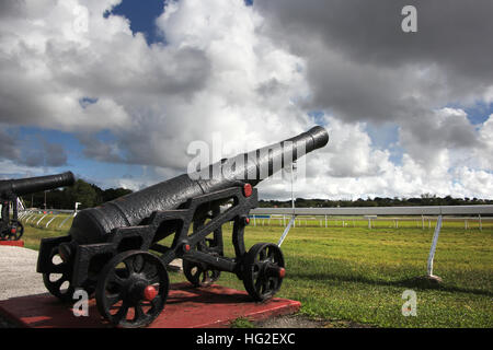 Historique Canon au Garrison Savannah, Bridgetown, Barbade, Caraïbes. Banque D'Images